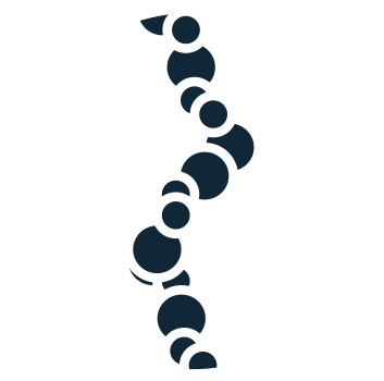 Fibre Memory - Fibre Memory (400x400)