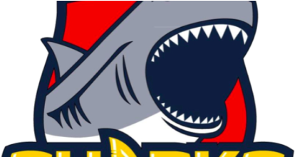 Sharks-600x220 - Great White Shark (600x220)