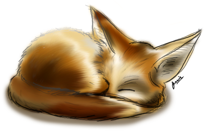 Fennec Fox By Jessay Bunnybee-d3ivf6z - Fennec Fox Drawing (666x419)