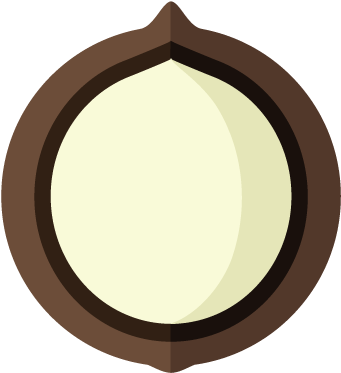 Macadamia - Research Stations In Antarctica (403x378)