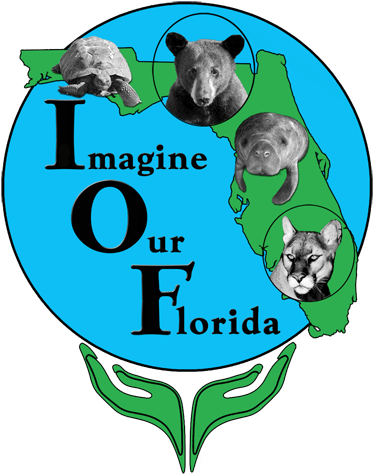 Advocating At A Public Meeting - Florida (512x512)