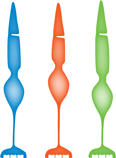 The Easiest Way To Think About How Color Vision Works - Rocket (574x746)