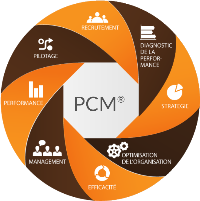 Process Communication Model ® - Cd (659x664)
