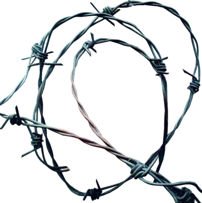Barbwire Png - Heart In Barbed Wire (398x400)