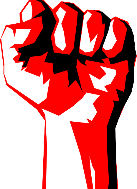 Clenched Fist Png (465x640)