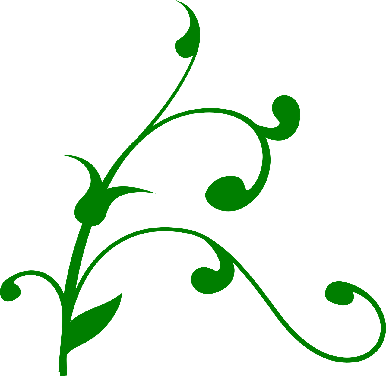 I Have A Luxury Beauty Clinic Which Is Located In The - Vine Silhouette (1280x1246)