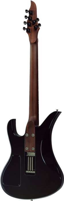 Little Crow - Electric Guitar (247x715)