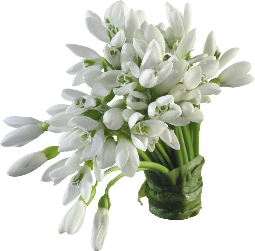 Consiliul De Conducere Al Atp Moldova - Multi Ani Mesaje Crestine (1024x1007)