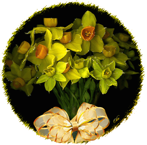 Click To Enlarge Felicitari Animate 1 Martie Narcise - Poster: Indigo's The Gift Of Beauty, 41x41in. (500x500)