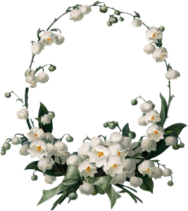 White Flower Border (374x420)