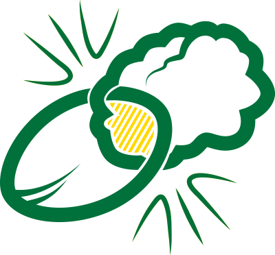 The Link Between Good Mental Heath & Sport - The Link Between Good Mental Heath & Sport (400x372)