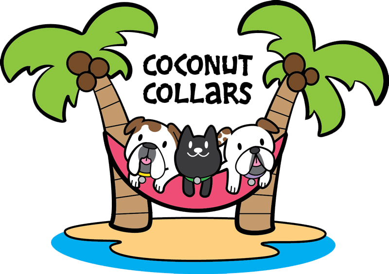 Collars Are Made From High Quality Hardware Including - Petfest (800x565)