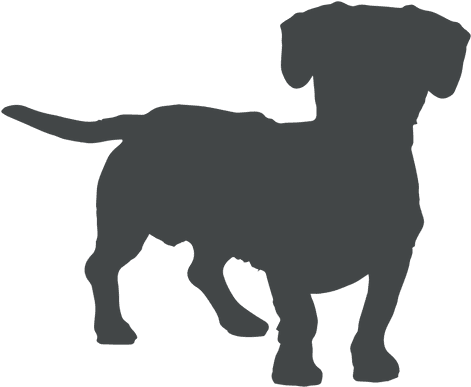 Dog Silhouette Playing - Transparent Background Dog Silhouette Dog Clipart (512x512)