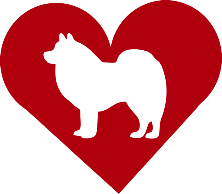 American Eskimo Dog In Heart Outdoor Vinyl Silhouette - Companion Dog (732x640)