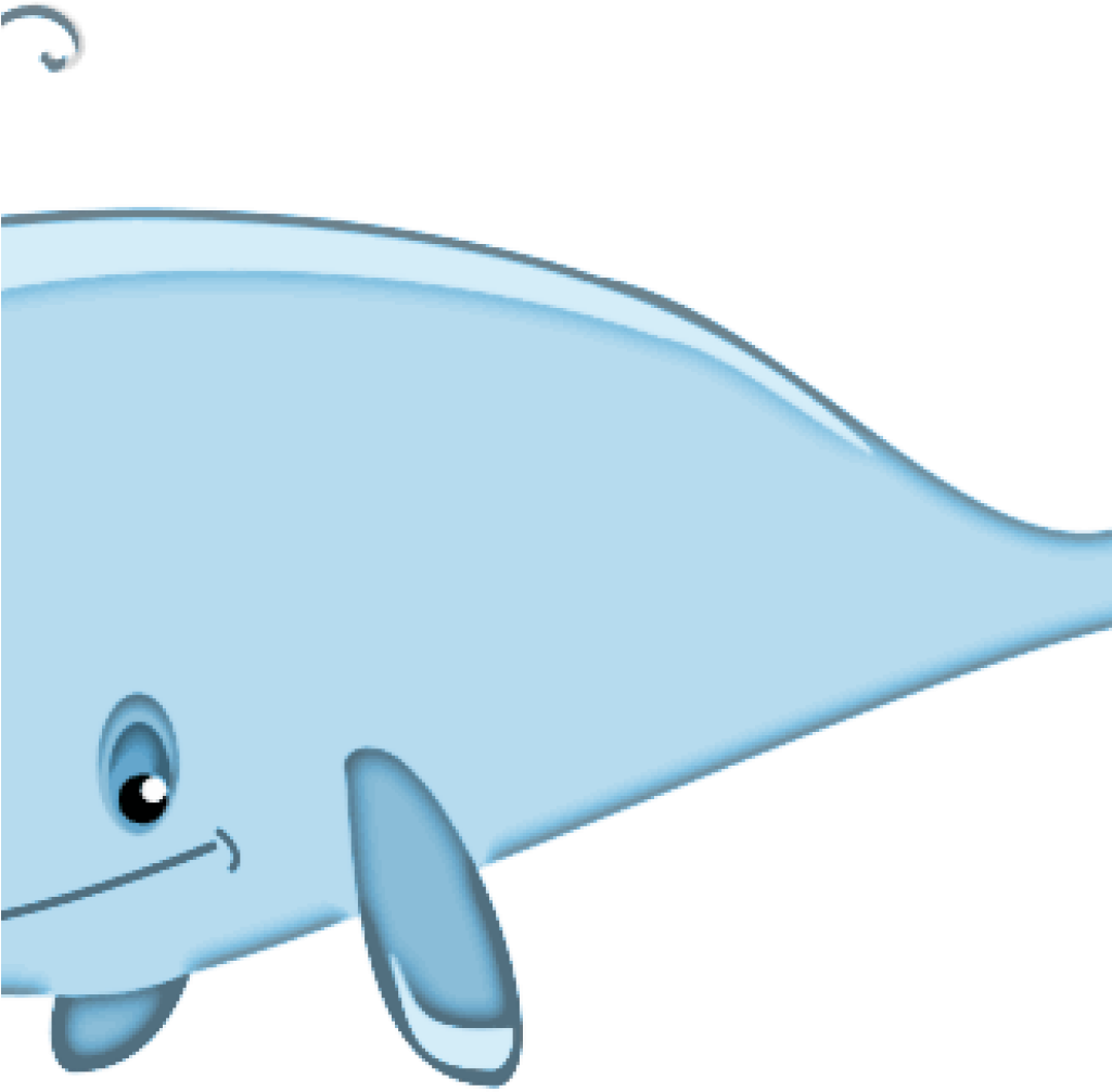 Whale Clipart Cartoon Whale Clipart Transparent Png - Blue Whale Shower Curtain (1024x1024)