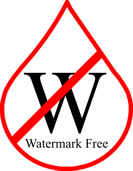 Central Park New York Map (468x599)