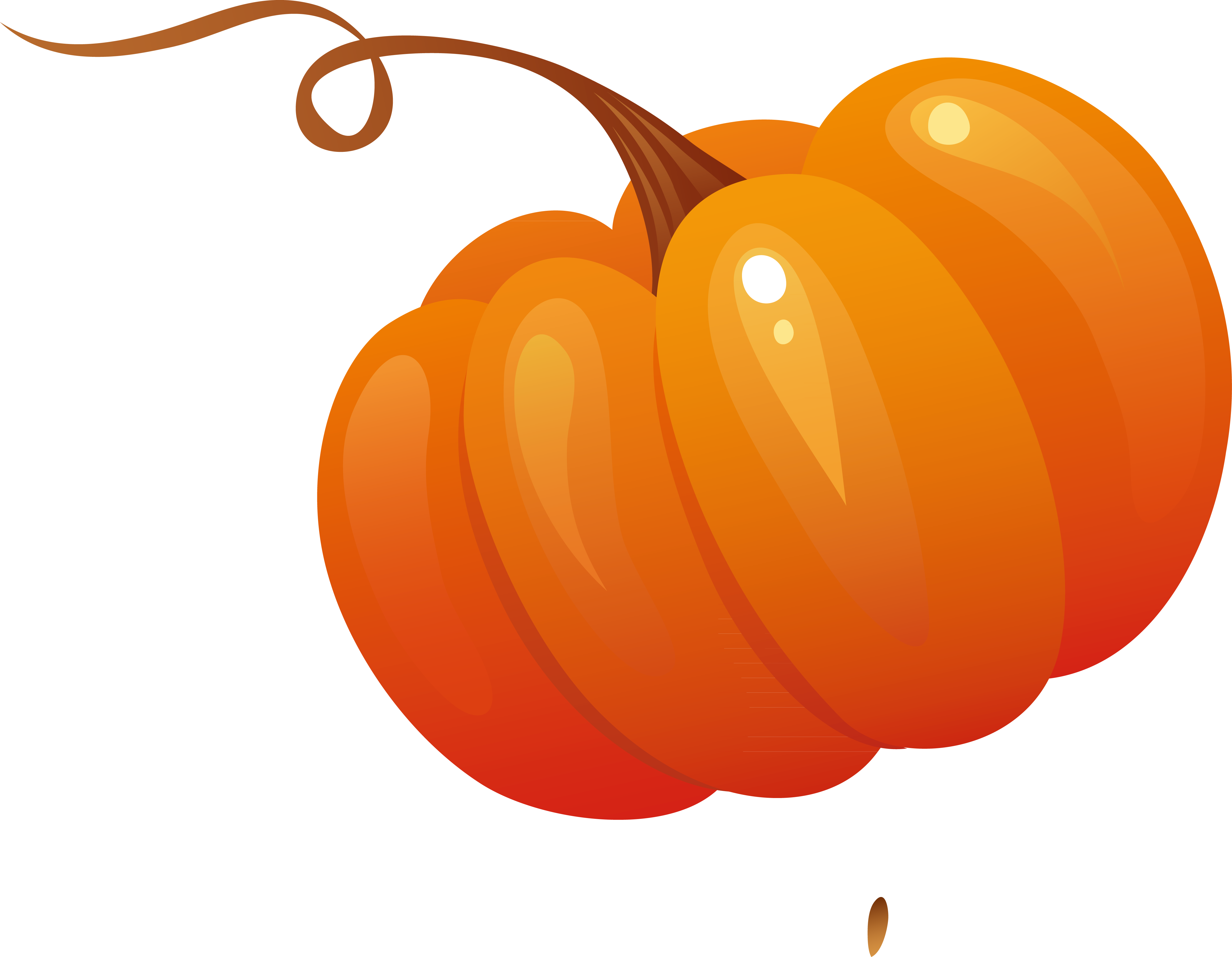 Vegetable Pumpkin Salad - Vector Space (4679x3636)
