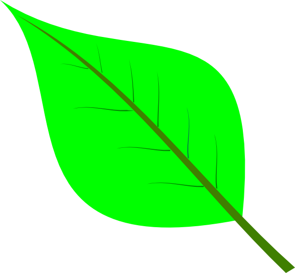 Cryptpoint Leaf 02 Clip Art At Clker - Cryptpoint Leaf 02 Clip Art At Clker (600x554)