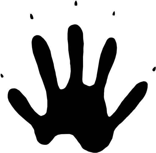 Raccoon Tracks Naturetracking - Raccoon Tracks Png (540x540)