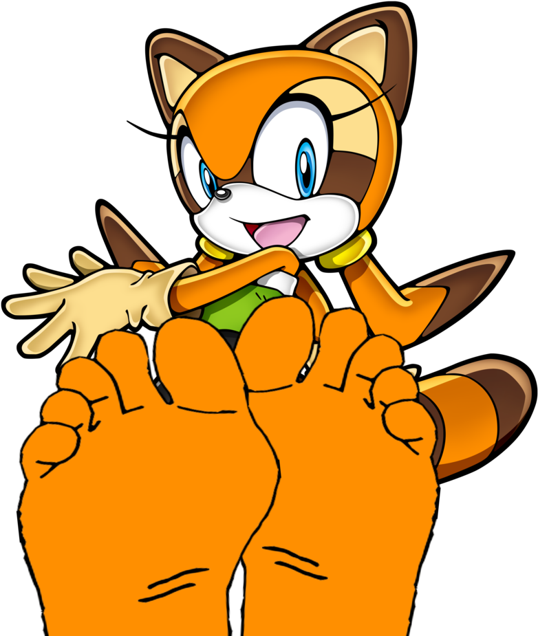 Marine The Raccoon's Feet By Anthonygoody - Blaze The Cat Sonic Rush (835x956)