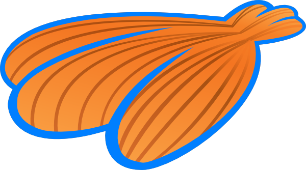 Search Results Blue Seashell Clipart Wedding Photo - Clip Art (600x334)