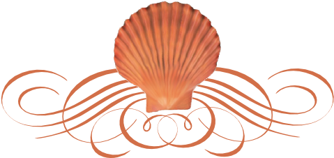 Seashell Flourish - Seashell Divider Png (519x346)