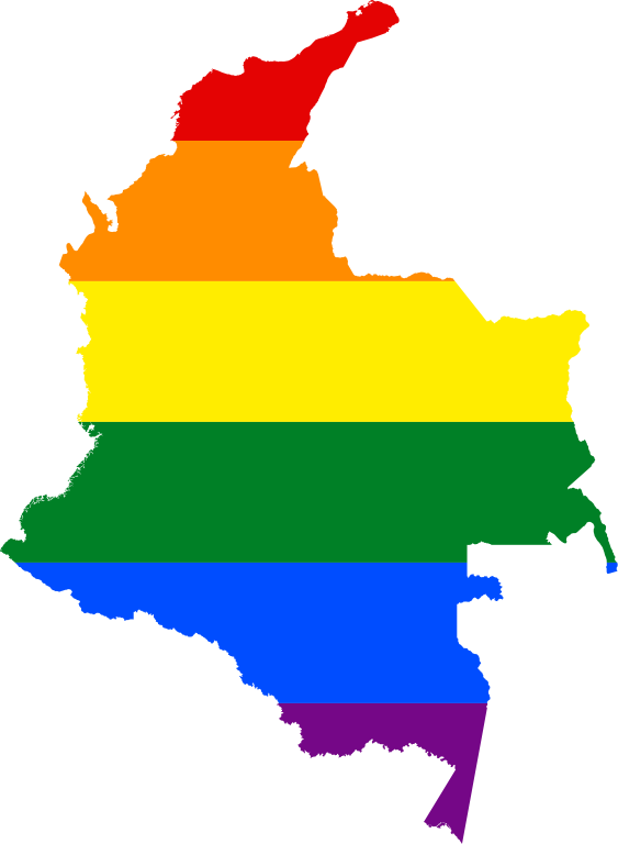 Colombia Court Upholds Restrictions On Adoption For - Colombia Lgbt (660x900)