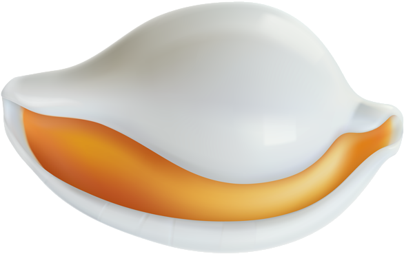 Clams Clipart Transparent - Clip Art (600x377)