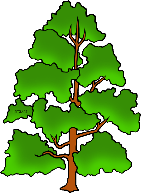Free United States Clip Art By Phillip Martin, State - Phillip Martin Clipart Tree (479x648)