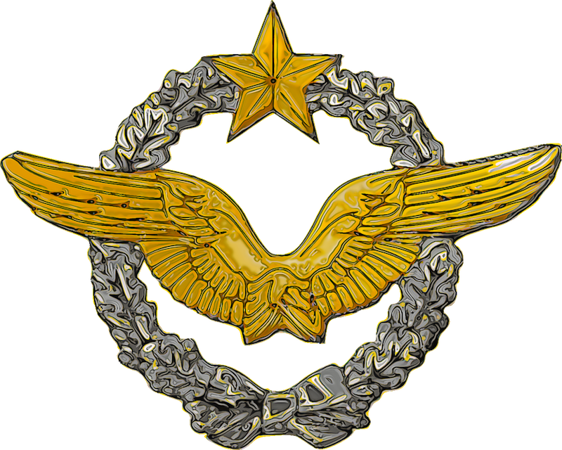 French Af Pilot Wings - French Military Pilot Wings (800x640)