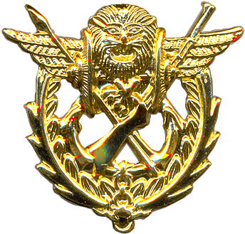 2010 Beret Badge - Badge (361x348)