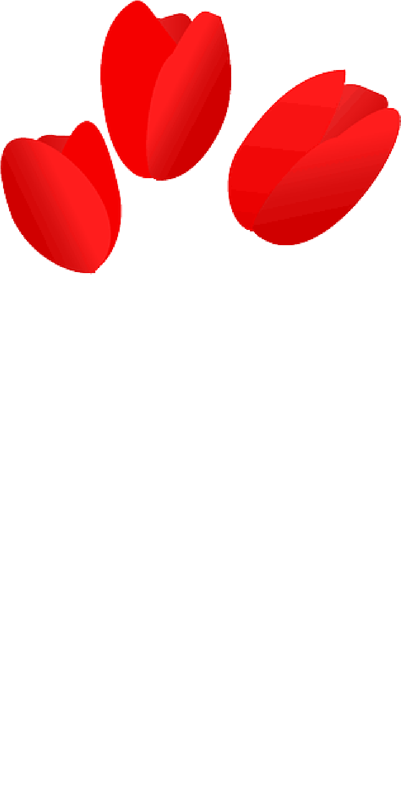 Mb Image/png - Tulip Clip Art (800x1600)
