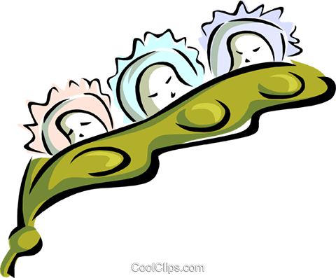 Triplets In A Peapod - Peapod (480x397)
