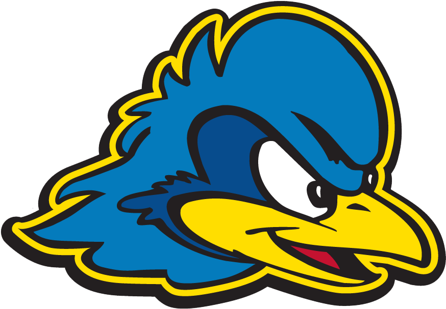 Delaware Womens Volleyball Data - University Of Delaware Blue Hen (873x873)
