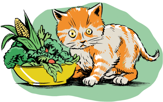 Realfakecrispr81 - Cat Grabs Treat (582x582)