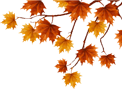Autumn Leaves Border Gif - Tu Tarde Sea Hermosa (400x300)