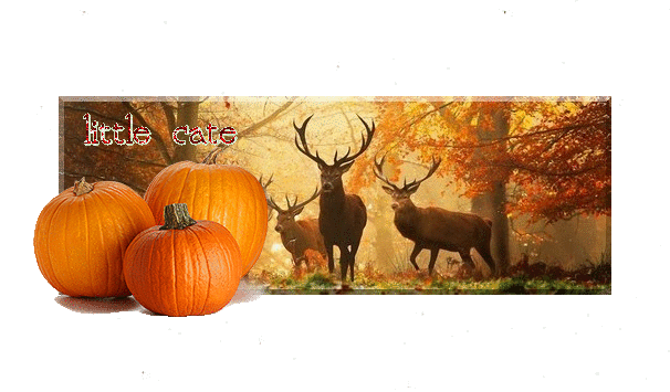 Oie Cihpvp59anwk - Unexplored Places In India (576x353)