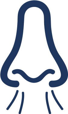 Tongue Up, Lips Closed, Breathe Through Your Nose - Tongue Up, Lips Closed, Breathe Through Your Nose (316x422)