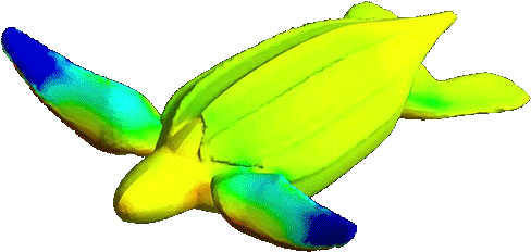 Clipart - Cartoon Turtle - Turtle Swimming Gif Transparent (500x368)