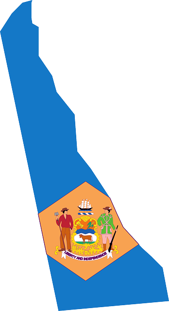 Flag, Outline, States, State, United, America, Delaware - Delaware State With Flag (348x640)