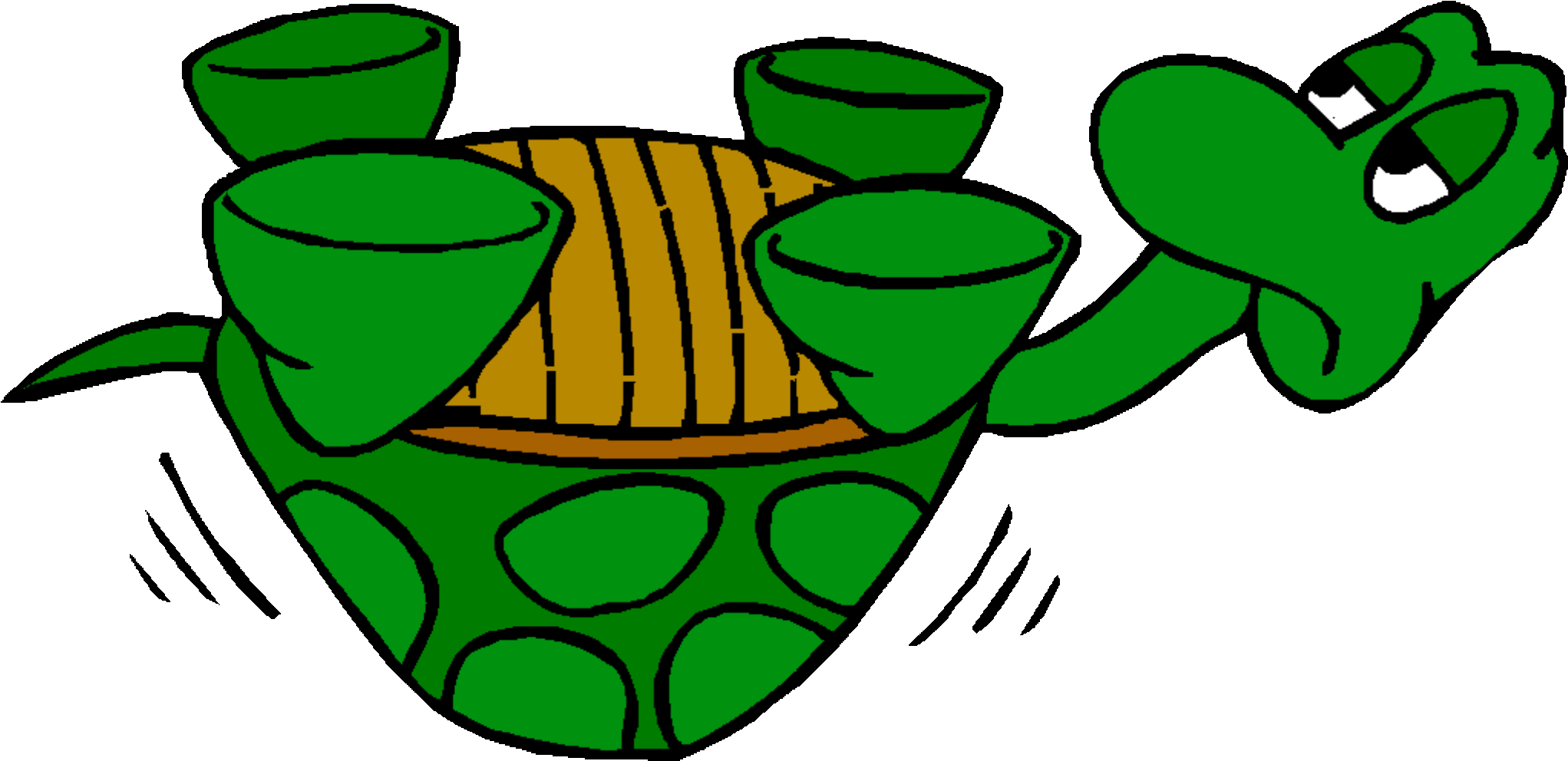 Upside Down Turtle Gif (2048x1011)