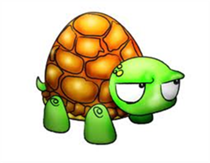 Turtle Shell Warriors - Animated Turtle (420x420)