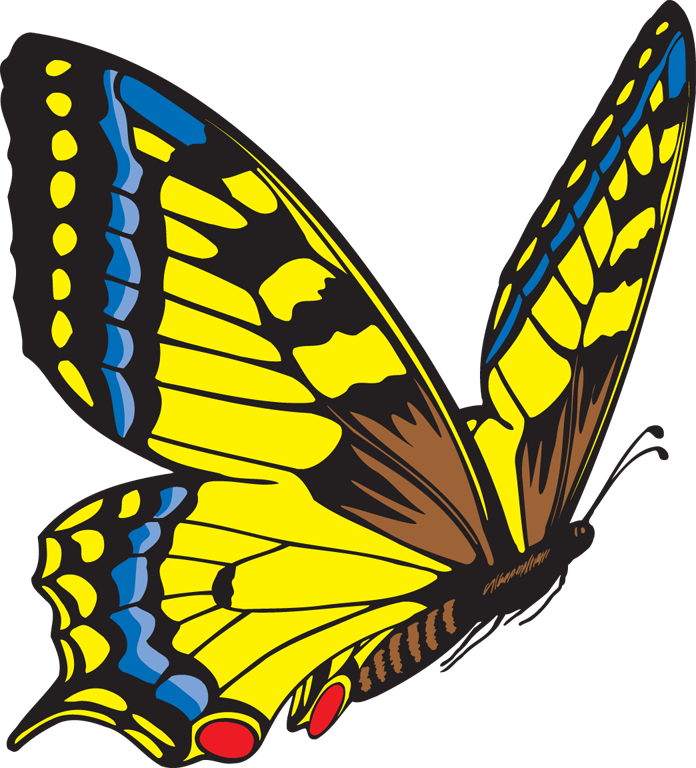 Yellow Butterfly Clipart - Butterfly Blue And Yellow (696x768)
