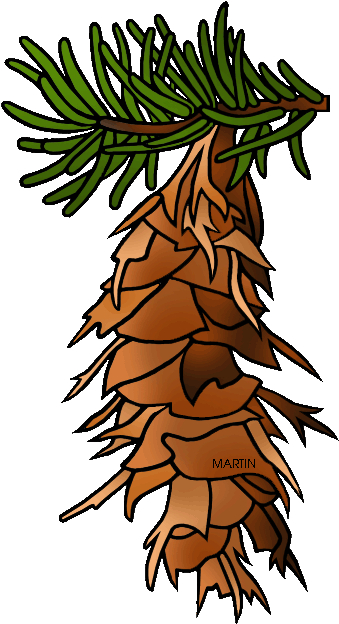 State Tree Of Oregon - State Tree Of Oregon (358x648)