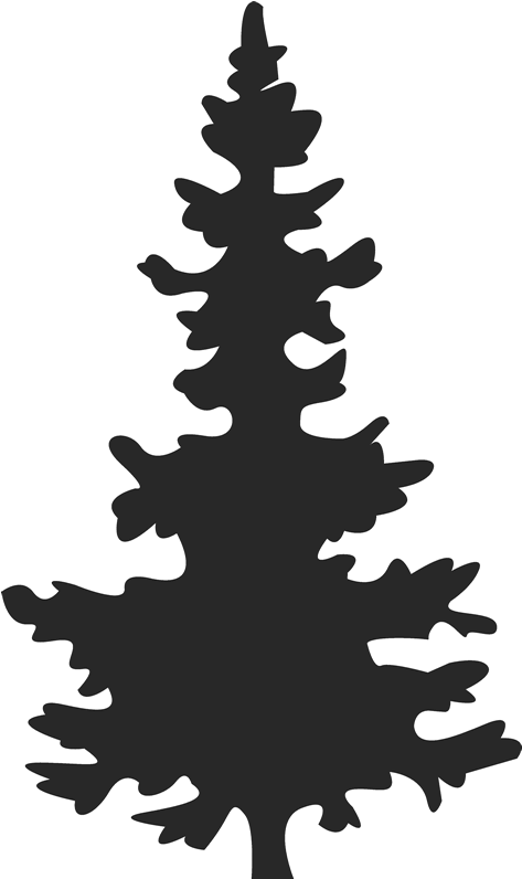 Christmas Tree Silhouette Stamp Christmas Rubber Stamps - Black Christmas Tree Silhouette (800x800)