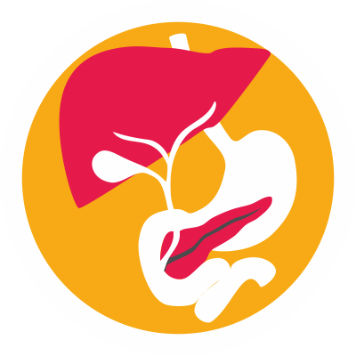 Liver Gallbladder - Gallbladder (400x400)