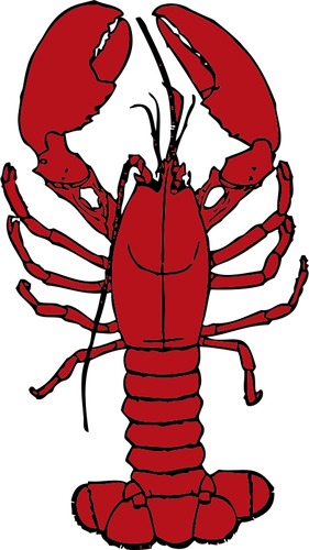Vector Drawing Of Lobster Public Domain Vectors - Red Lobster Clip Art (281x500)