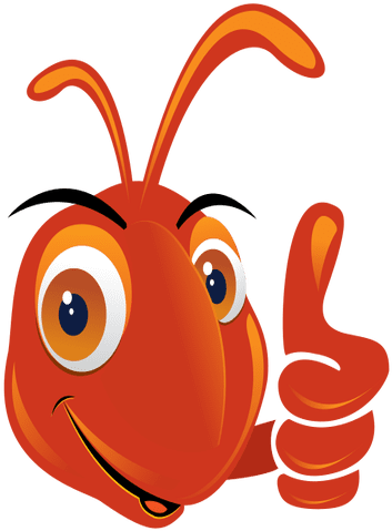 Ant Thumbs Up Cartoon Transparent Png - Ant Cartoon Png (512x512)