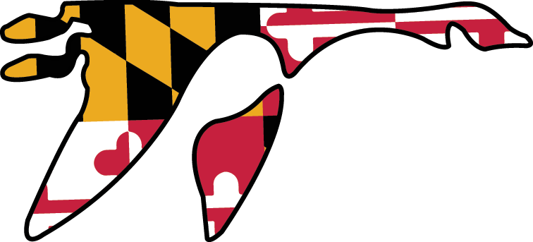 Full Color/black Outline - Washington College Athletics Logo (756x343)