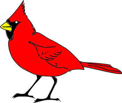 Cardinal Bird Animal Red Cardinal Cardinal - North Carolina State Bird ...